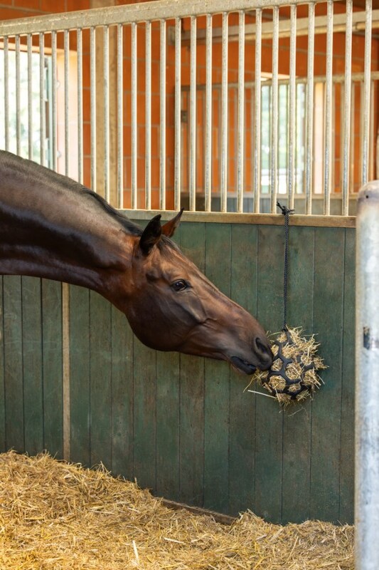 452dd5a5-1cf5-38f9-ef97-019a3525ae4b 1