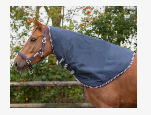 b9910b97-f734-6c20-6c79-0199e37bef1c 1