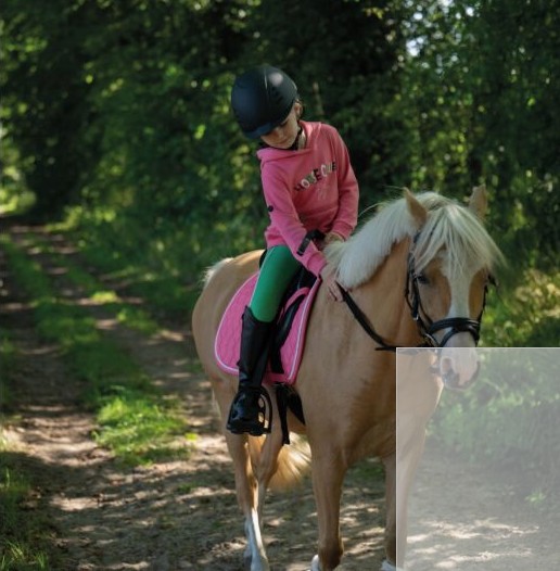 beaf1061-97bb-a872-3515-019aa70e9973 1