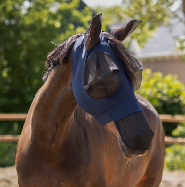 8927d29a-8ca7-98e0-20f4-019ce245807a 1